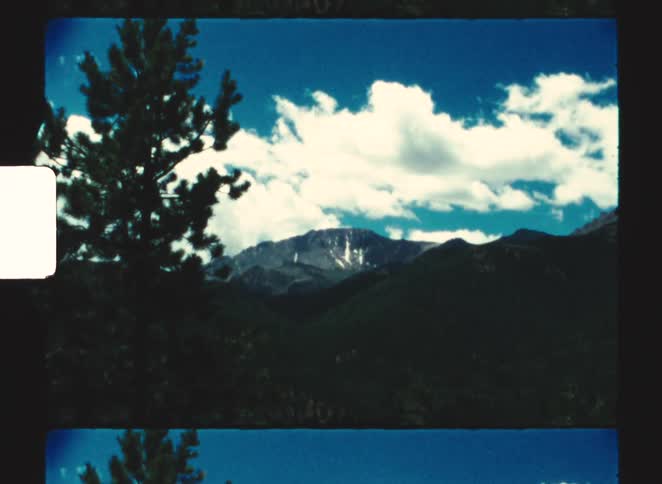 Snowcapped mountain in background with pine tree in foreground under blue sky with scattered clouds