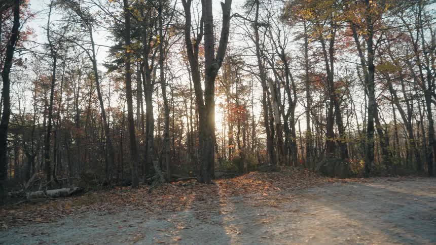 Motorcycle with two people traveling along a dirt road in a forested area at dusk