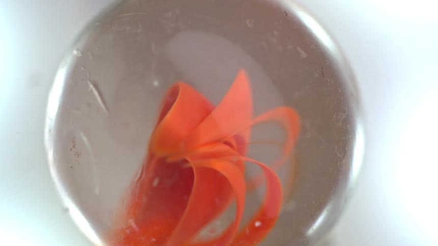 The small marble is clear with orange inside