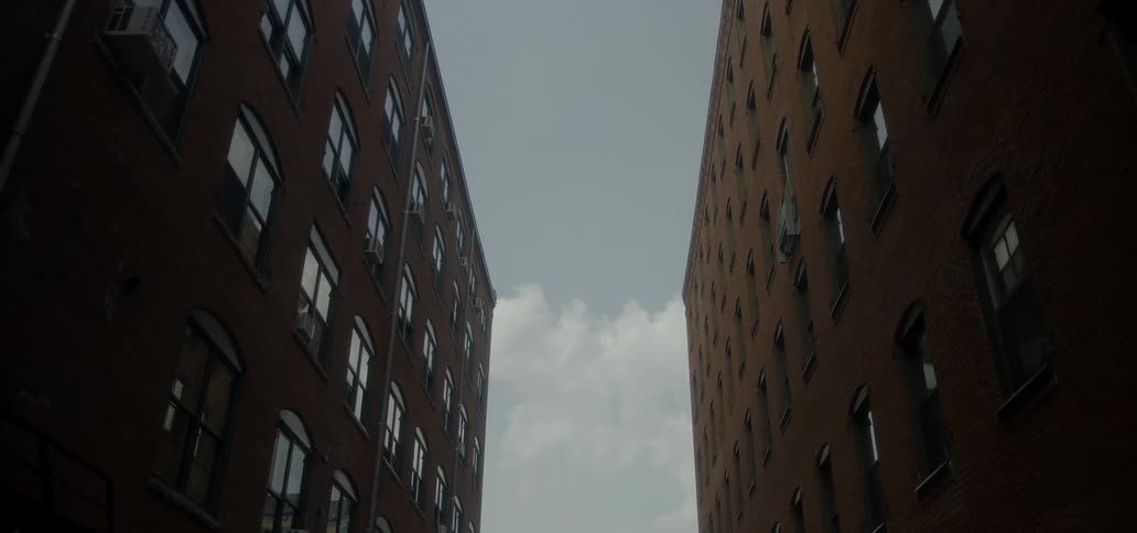 A bird flies in the sky above the parallel buildings