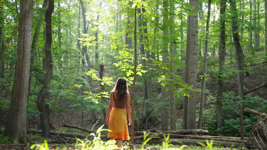 A woman in a brown top and yellow skirt walks barefoot through a sunlit forest filled with tall green trees and fallen branches on the forest floor