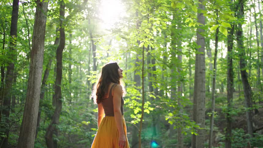 A woman stands in a sundrenched forest slowly turning from facing the light to looking up and around at the tall bright green trees surrounding her