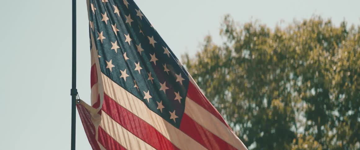 United states flag hoisted against clear sky and green tree