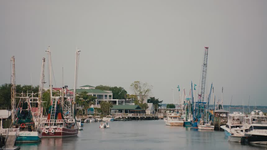 Boats in the marina with cranes and buildings along the coast