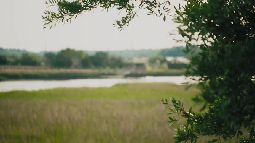 A boat slowly moves past a wooden pier with a small gazebo viewed through tall green marsh grass and tree leaves in the foreground