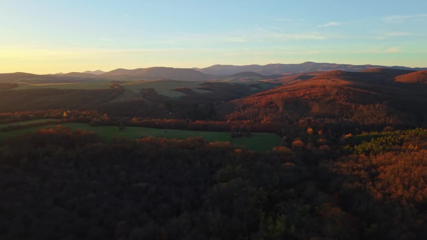 A forest filled with trees turning orange in the fall with a mountain range in the background at midday