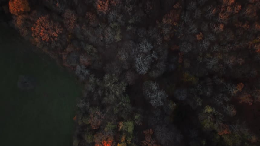 An aerial view of a dark autumn forest reveals patches of vibrant green and orange trees mixed with bare branches