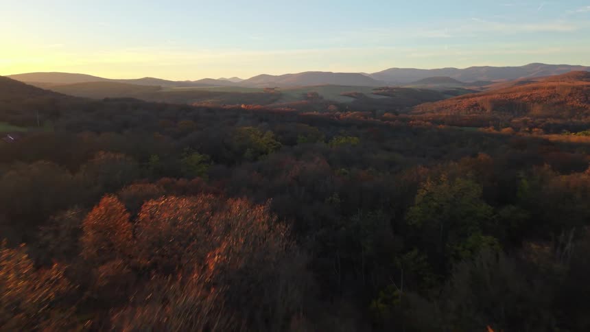 Autumn forest landscape with colorful trees covering hills under clear sky at sunset