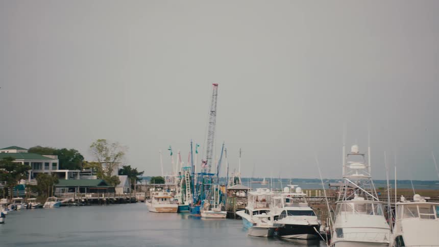 The marina is full of docked boats