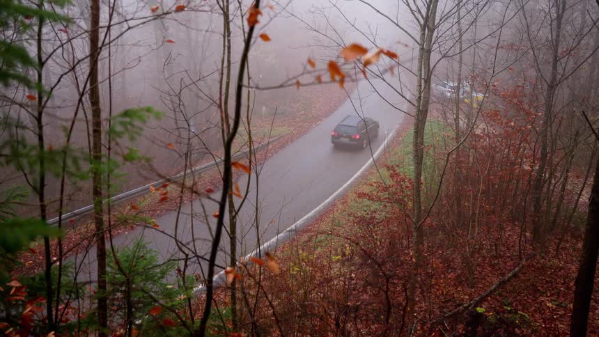 The car drives down the fog filled road