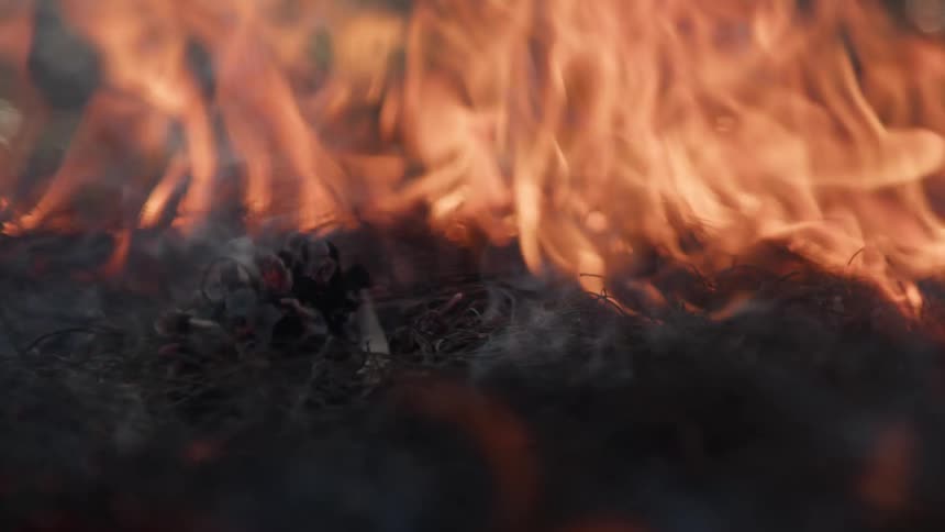 Bright orange flames and smoke rise from the surface of burnt brush and dark dry vegetation on the ground in a close view