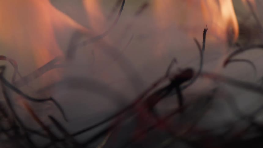 Thin dark strands of material burning with bright orange flames and heavy smoke with the strands glowing red hot as the fire consumes them