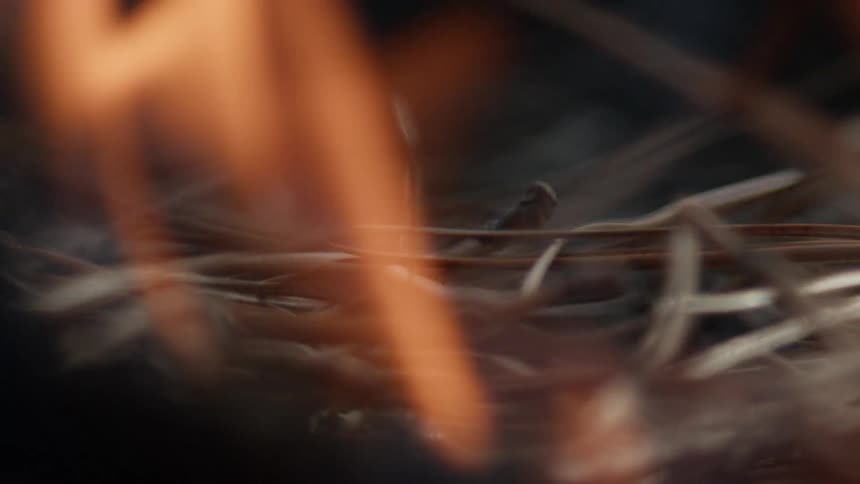 Orange flames consuming dry twigs with blurred background
