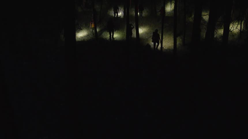 The group of hikers search the woods at night