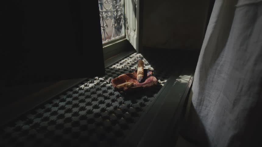 Small flame burns on an object placed on a mat near a lit doorway