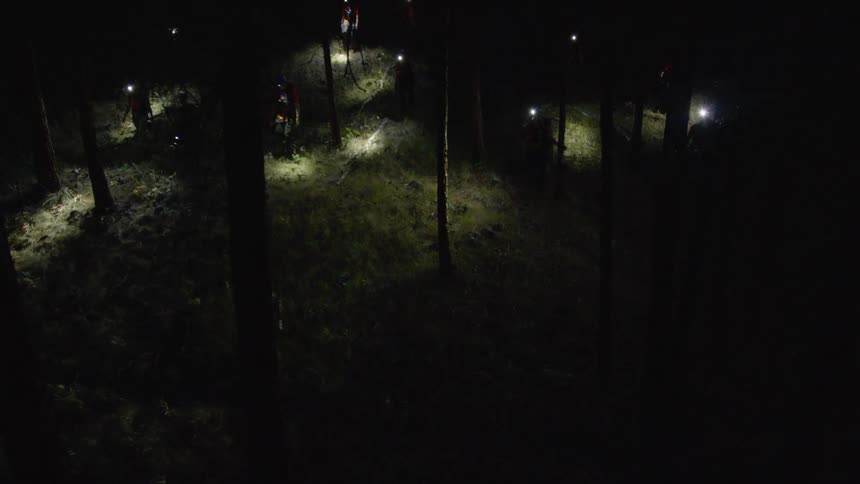 Group walking through forest at night with headlamps lighting the ground in dark setting