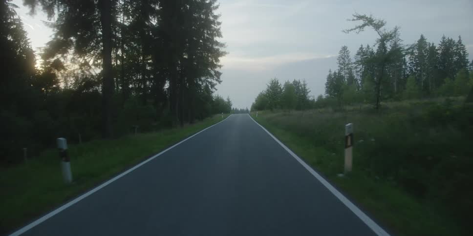 Empty road surrounded by trees and vegetation under soft evening light