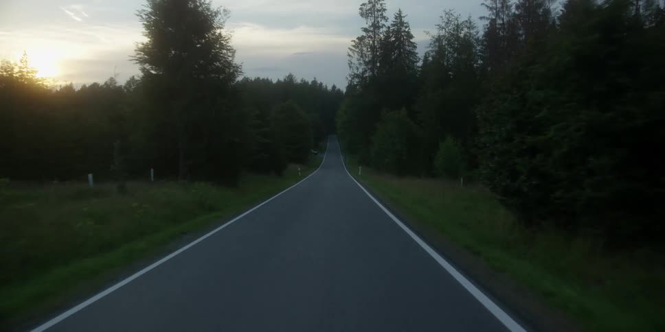 Traveling on a road into the forest