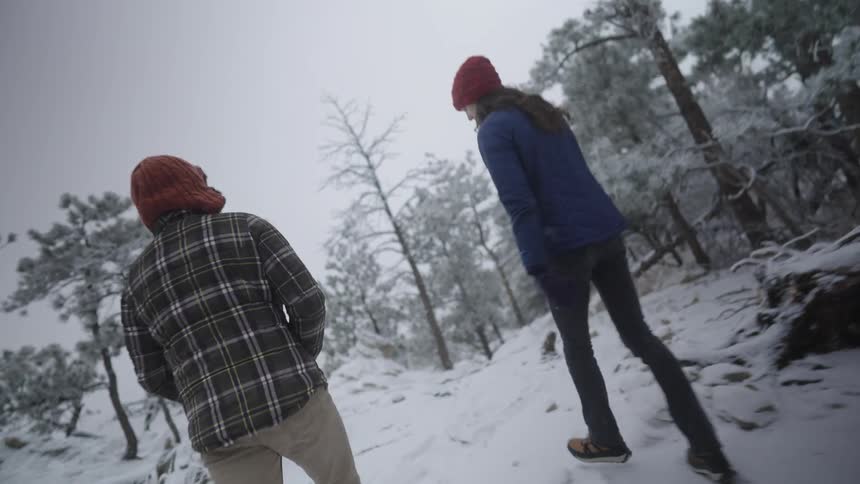 Two people walk through a snowy forest on a winter day