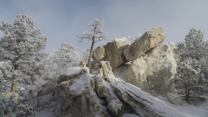 Sunlight shines on snow covered rocks and trees on a mountain