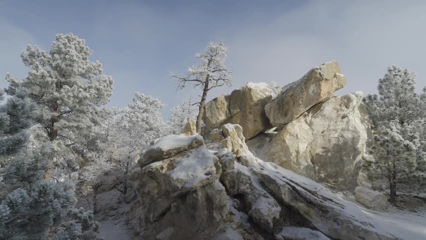 The trees and stones are covered with frost and snow