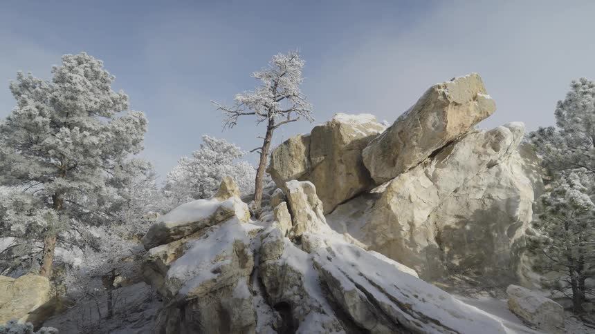 Snow covered rocks and trees on a mountain