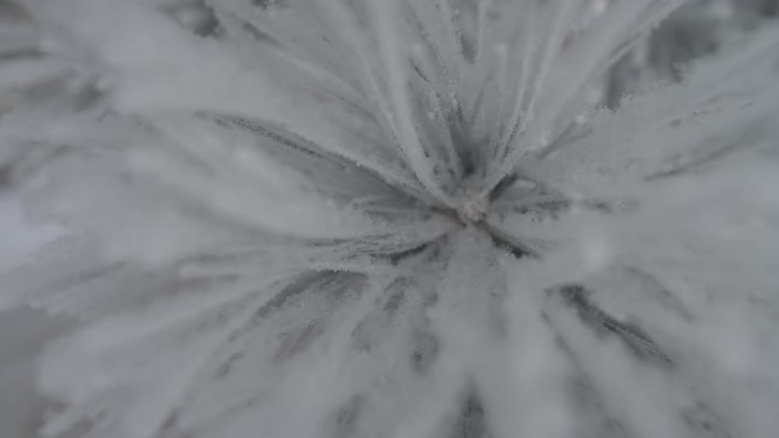 A close up of an ice crystal