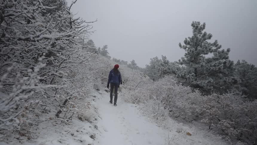 Two people walking in a snowy forest