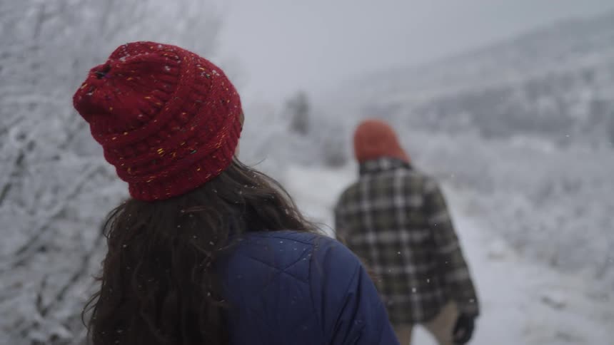 Person in the foreground looking at a snowy landscape while another walks ahead