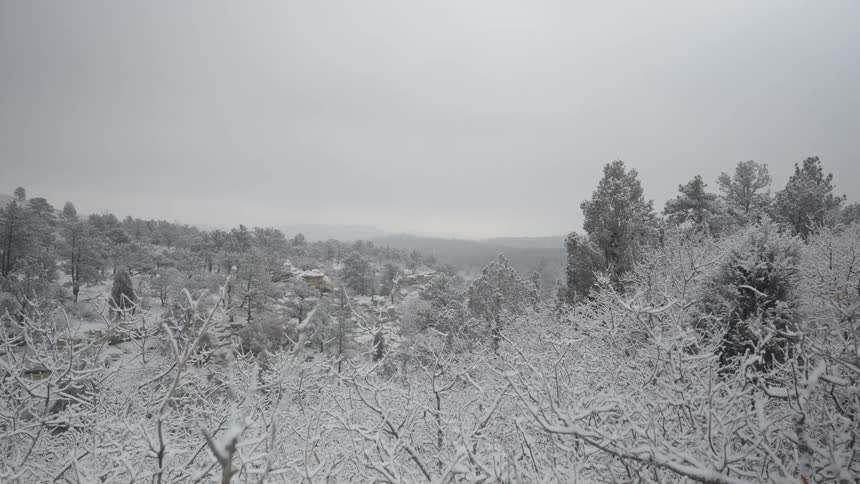 Aerial view moving over snow covered trees on a forested mountain