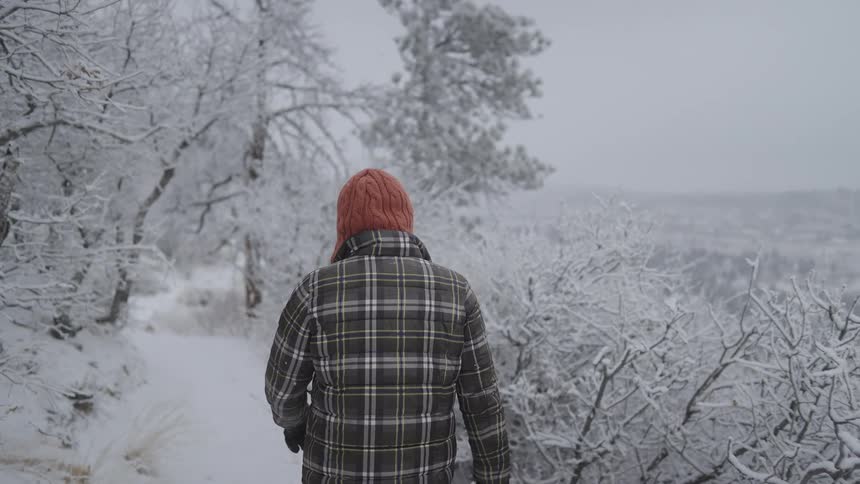 Person walks on a path through the snowy woods on a winter day