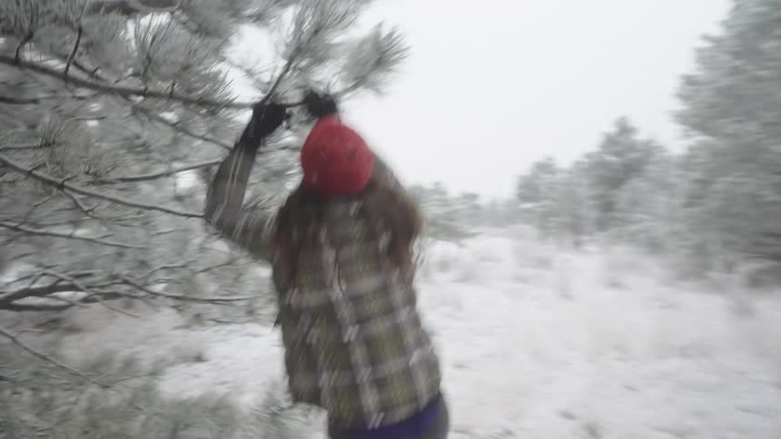 A person wearing a red hat and plaid jacket runs through a snow covered forest shaking a pine branch and causing snow to fall