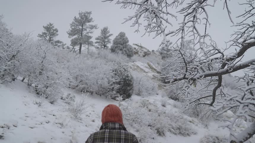 Person walking along a snowy trail on a hillside with frozen vegetation