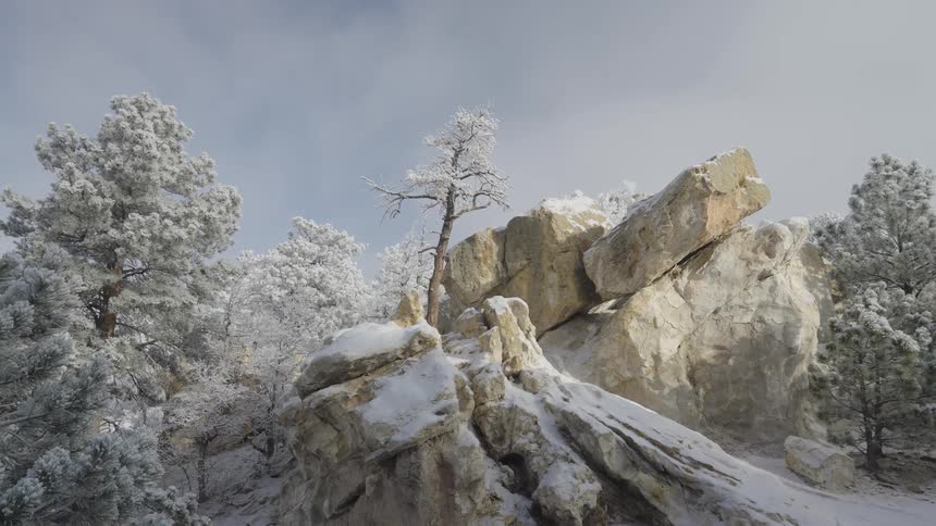 A dramatic winter landscape featuring massive lightcolored rock formations dusted with snow flanked by frostcovered pine trees and highlighted by a small solitary tree growing on the central rock