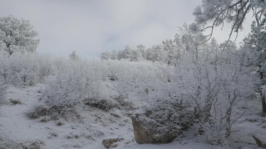 Snow and ice covered trees and rocks on a mountain
