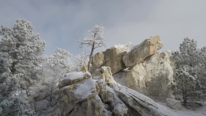 A view of some snow covered rocks and trees in a wooded area