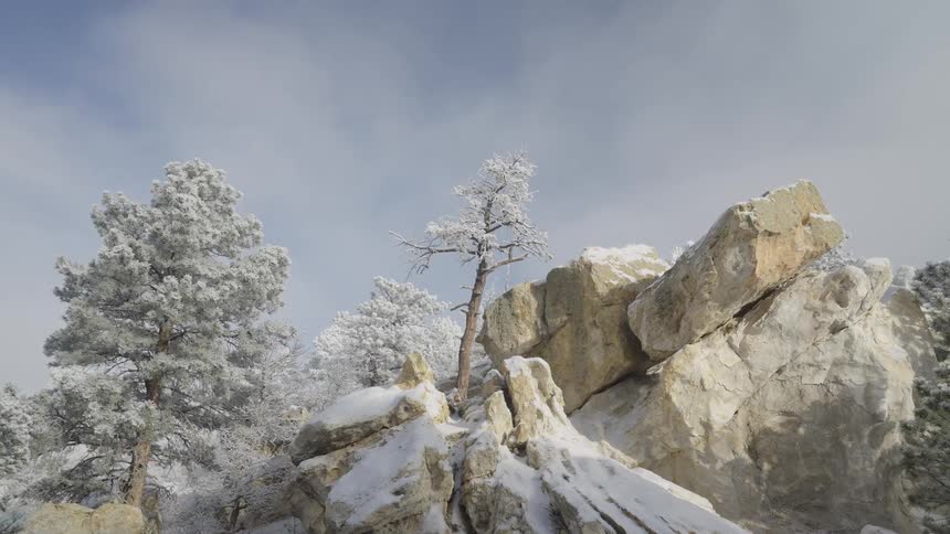 Frosted conifer trees surround a rock formation on a winter day
