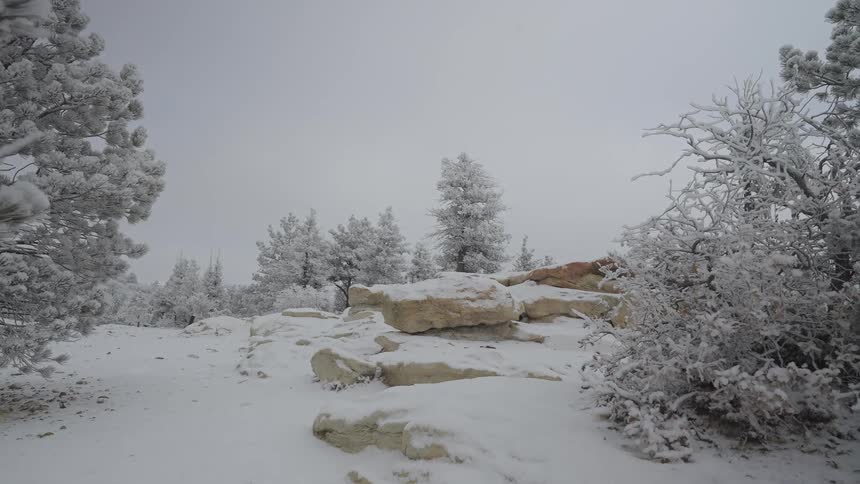 Snow covered rocks and trees on a forested mountain