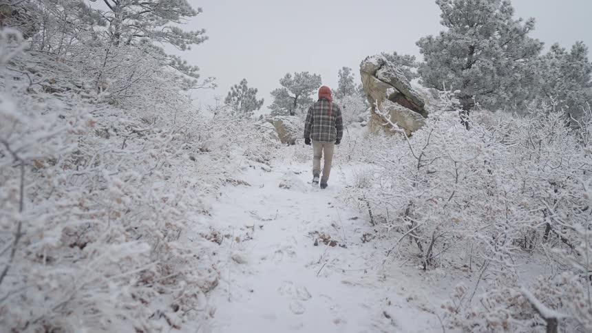 Person walking along a snowcovered trail among shrubs and rocks