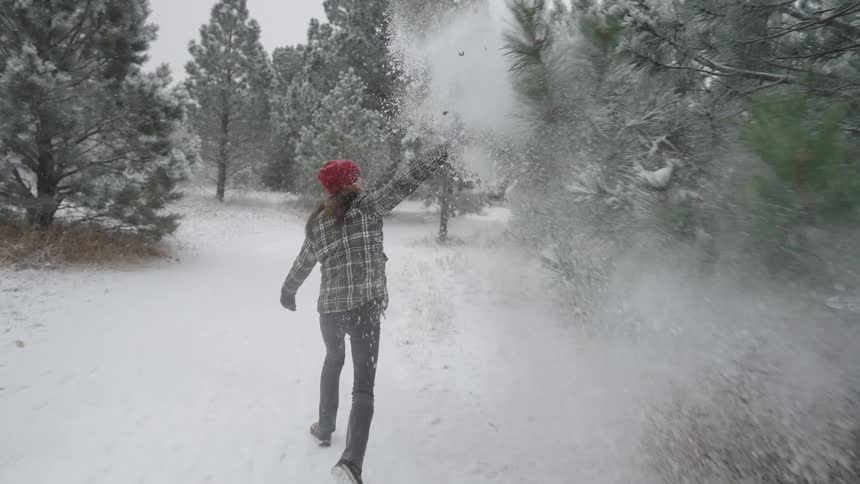Woman skips through a snowy conifer forest brushing a tree and creating a cloud of snow on a winter day