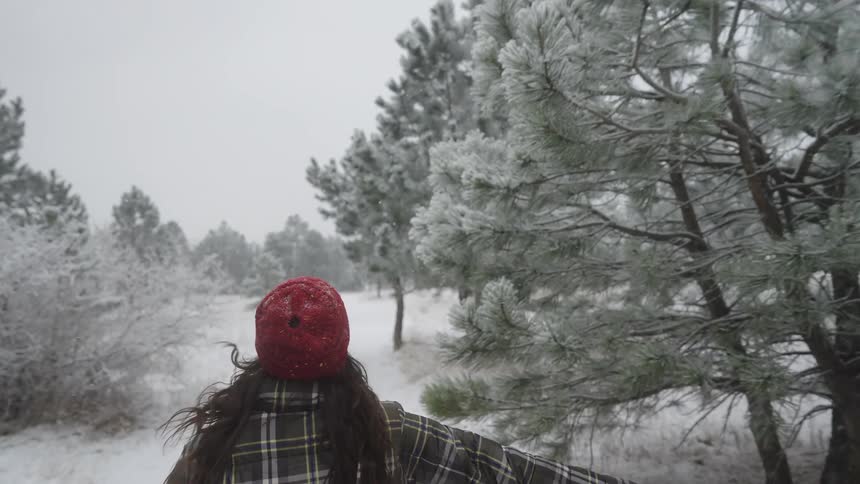Filmed from behind a person in a red hat and plaid jacket runs down a snowcovered path lined with frosted pine trees eventually reaching out to knock snow off one of the branches