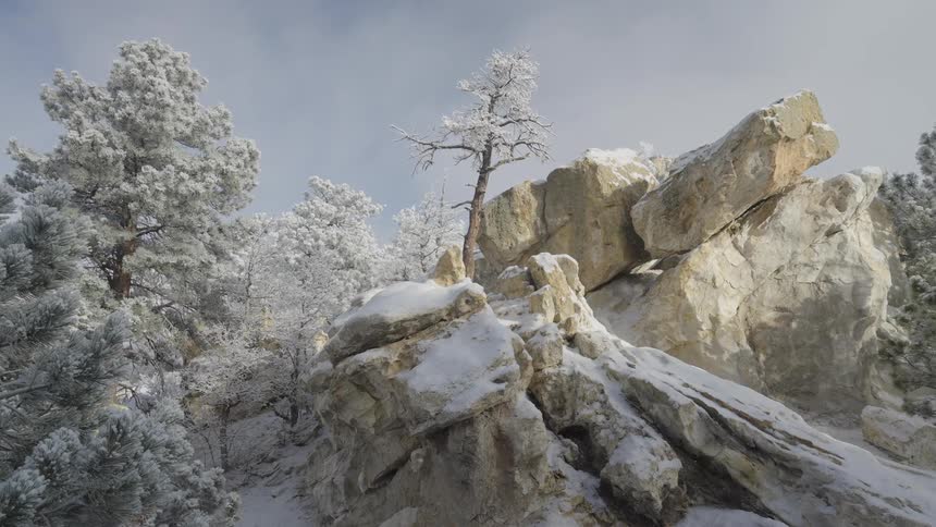 Snowcovered rock formation among frostcovered pine trees under a clear sky
