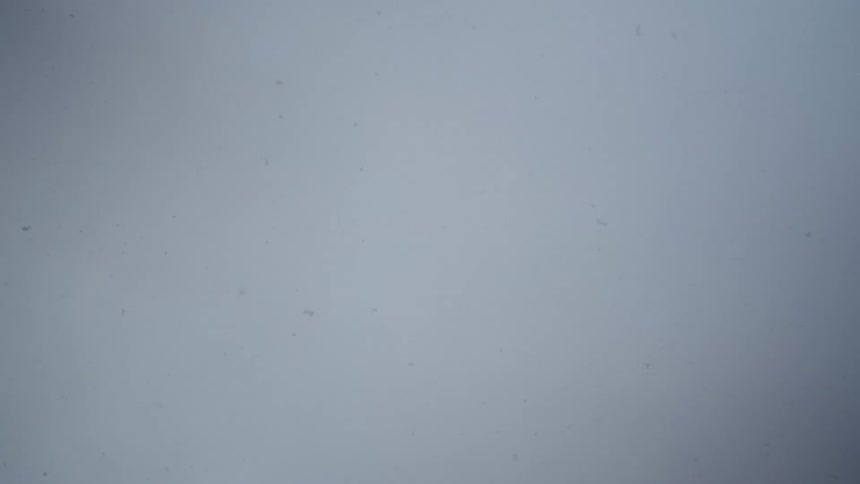 Snowflakes falling against a uniform gray sky