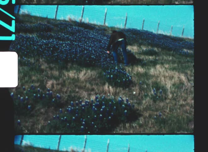 The teenager picks a flower and smells it