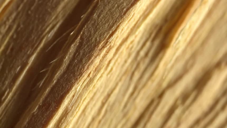Light is shining on the fabric
