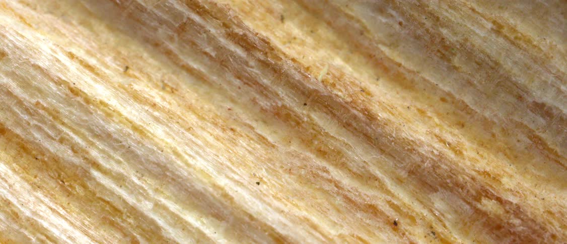 A light brown fibrous wood grain running diagonally across the frame