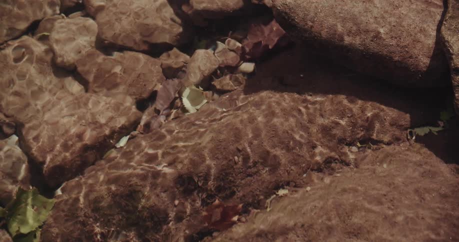 Submerged rocks in shallow water with light reflections on the surface