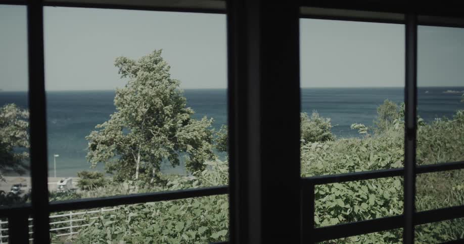 Through the dark frame of a large window a calm expansive ocean is visible past lush green trees on a clear quiet day