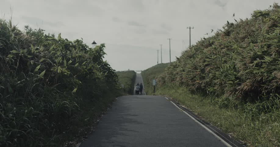 Under a pale sky several people walk into the distance up a narrow road that cuts through rolling hills covered in dense green foliage