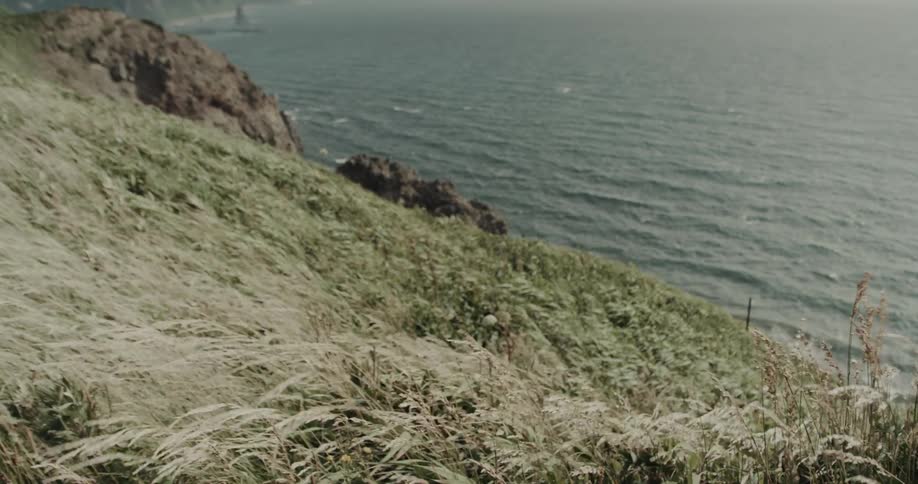Grassy slope with seaside rocks and ocean in the background